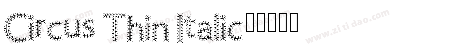 Circus Thin Italic字体转换